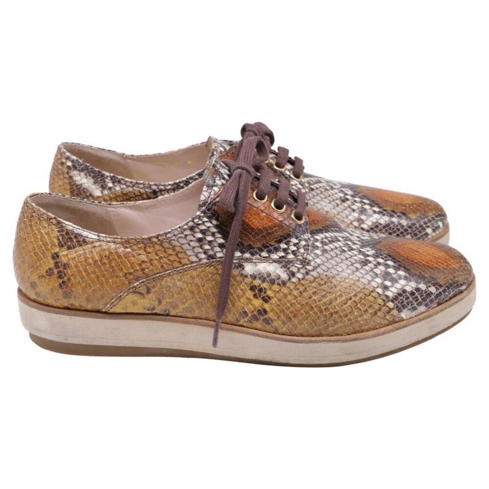 Miu Miu Snakeskin-Embossed Lace-Up Oxford Shoes in Multicolor Leather